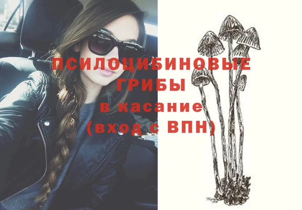 крисы Верхний Тагил